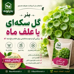 بذر گل سکه ای یا علف ماه