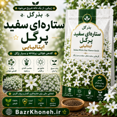 بذر گل ستاره ای سفید پرگل ایتالیایی