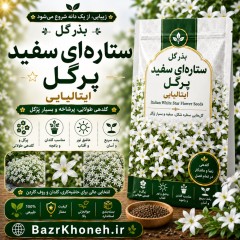 بذر گل ستاره ای سفید پرگل ایتالیایی
