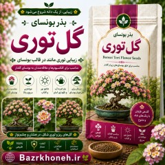 بذر سرو کوهی ویرجینیا ارگانیک