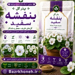 بذر گل بنفشه سفید ارگانیک