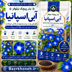 بذر پیچک نیلوفر آبی اسپانیا