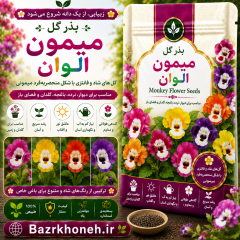 بذر گل میمون الوان