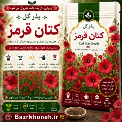 بذر گل کتان قرمز