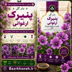 بذرگل پنیرک ارغوانی