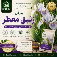 بذر گل زنبق معطر