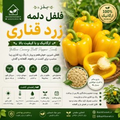 بذر فلفل دلمه زرد قناری