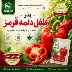 بذر فلفل دلمه قرمز
