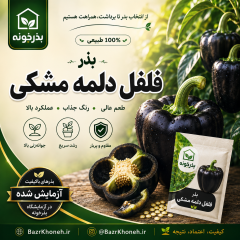 بذر فلفل دلمه مشکی