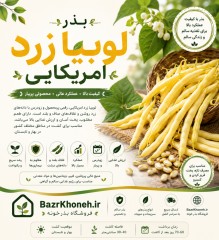 بذر لوبیا زرد امریکایی