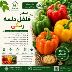بذرفلفل دلمه رنگی