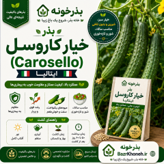 بذر خیار کاروسل ایتالیا