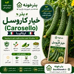 بذر خیار کاروسل ایتالیا