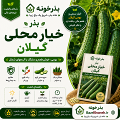 بذر خیار محلی گیلان