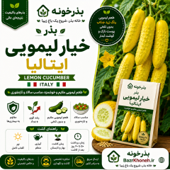 بذر خیار لیمویی ایتالیا