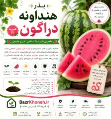 بذر هنداونه دراگون