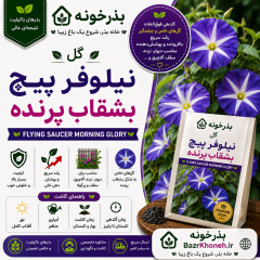 گل نیلوفر پیچ بشقاب پرنده