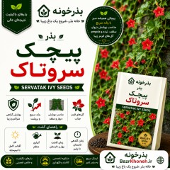 بذر پیچک سروتاک