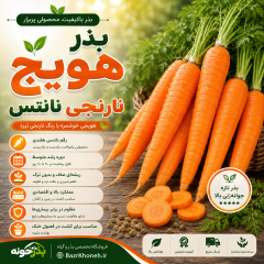 بذر هویج نارنجی نانتس