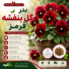 بذر گل بنفشه قرمز