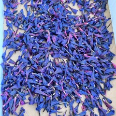 گل گاو زبان درجه یک