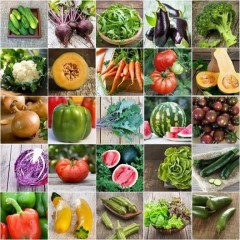 پکیج تخصصی بذرهای کاشت در زمستان(ویژه)