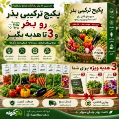 پک سبزیجات و صیفی جات - پک اقتصادی