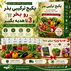 پک سبزیجات و صیفی جات - پک اقتصادی