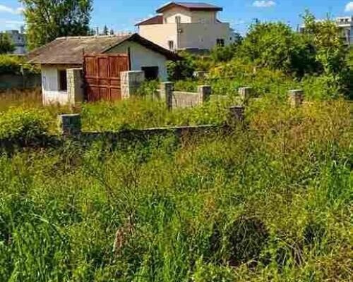 فروش زمین 500 متر مازندران