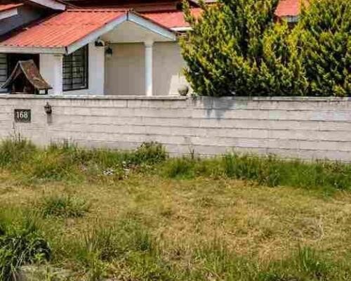 فروش زمین 500 متر مازندران