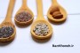 راهنمای جامع خرید بذر: از کجا و چطور بذر باکیفیت بخریم؟